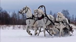 ＂Трудно в деревне у нас＂хит 2020