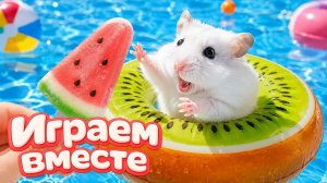 ХОМЯК ВЫБИРАЕТСЯ ИЗ СЕКРЕТНОЙ ХОМЯЧЕЙ ТЮРЬМЫ ! Забавные животные ! Супер лабиринт для хомяка №53!