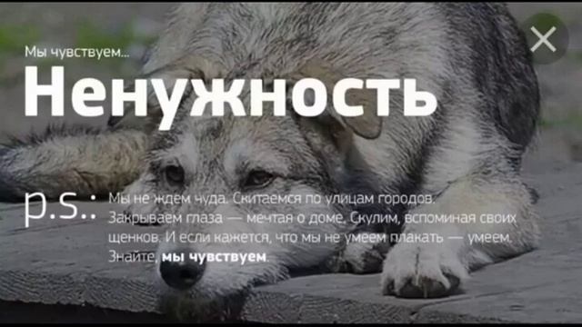 Это грустно смотреть онлайн