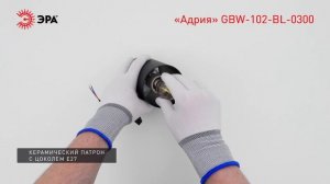 Светильник уличный настенный ЭРА «Адрия» GBW-102-BL-0300