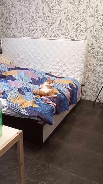 ээээх😭😭😭 а когда то он был со мной смотреть онлайн