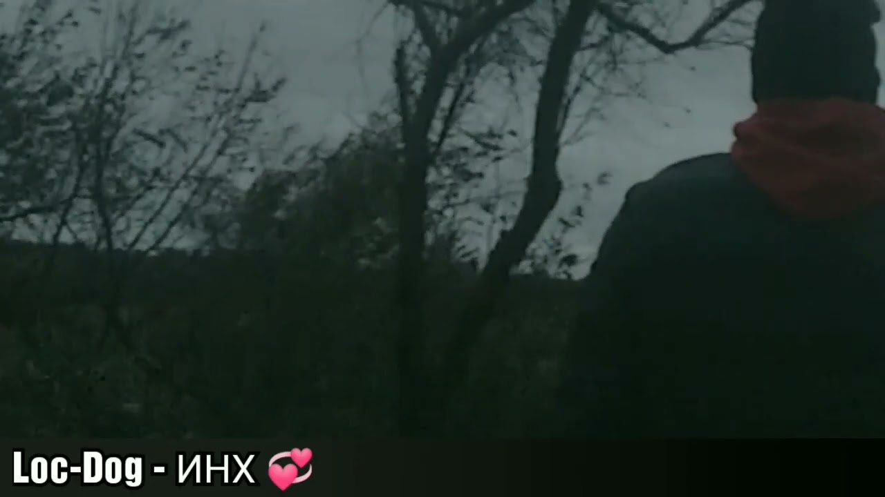 Loc Dog - ИНХ 👑 смотреть онлайн