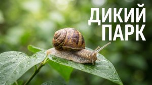 Краски дикого Детского парка // 10 июля 2026 года