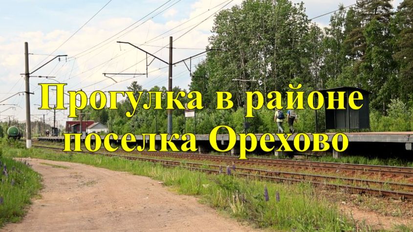Прогулка в районе поселка Орехово
