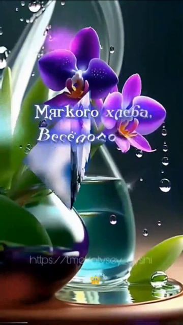 Добрый вечер!! смотреть онлайн