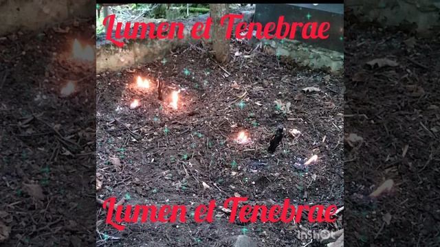Установка защиты от негативных магических воздействий и восстановление энергофона на погосте смотреть онлайн
