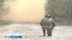 На Ставрополье загорелось пшеничное поле