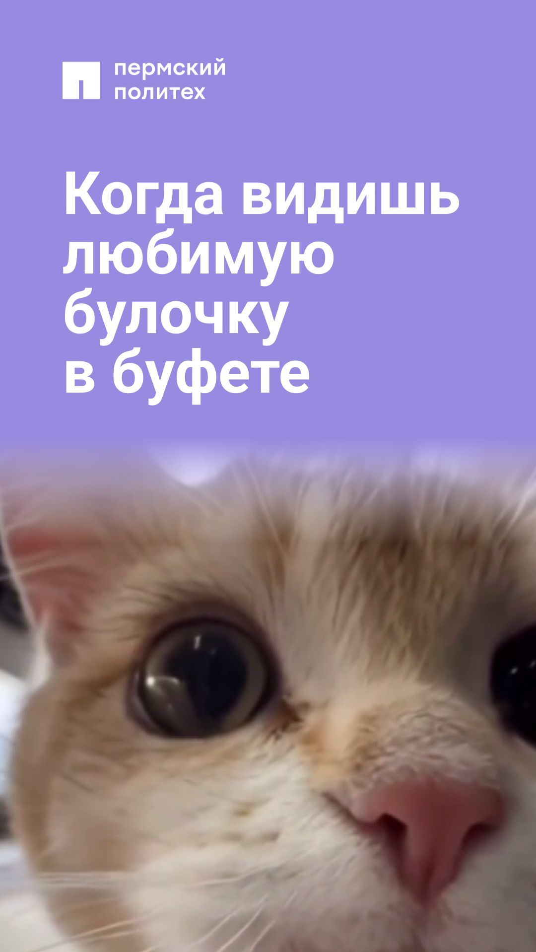 Когда видишь любимую булочку в буфете