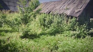 ПРОДАЁТСЯ ДОМ +79960124589 НА БЕРЕГУ РЕКИ КЕРЖЕНЕЦ. Нижегородская область, дер Дорофеиха