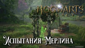 Испытания Мерлина. Hogwarts Legacy прохождение. Trials of Merlin