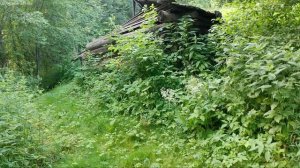 Едем в Якутино Прокопьево Лужевица Скородум