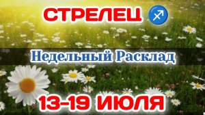 СТРЕЛЕЦ♐ Недельный расклад 13-19 ИЮЛЯ /Таро Прогноз/Сферы жизни
