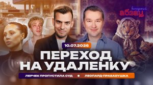 Переход на удаленку. Лерчек пропустила суд. Леопард-прабабушка