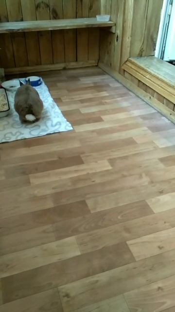 🌈 Два года без Ирискина…