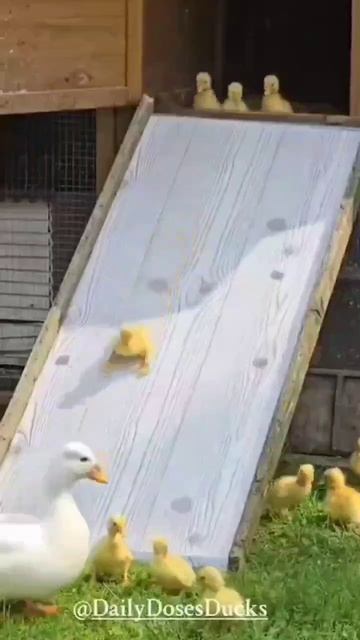 1000014007.mp4 смотреть онлайн