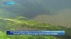 СЛОЖНОЙ ОСТАЁТСЯ ПАВОДКОВАЯ СИТУАЦИЯ НА КАМЧАТКЕ • НОВОСТИ КАМЧАТКИ