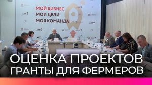 Фермеры Новгородской области сегодня защищали свои заявки на грантовую поддержку