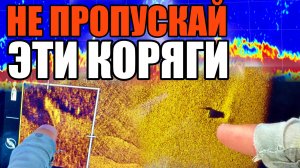 Неочевидные, но РЫБНЫЕ МЕСТА на реке - как они выглядят? Рыбалка в корягах