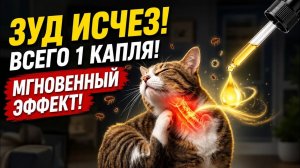 Всего ОДНА капля избавит кошку от блох и зуда НАВСЕГДА! Естественный способ