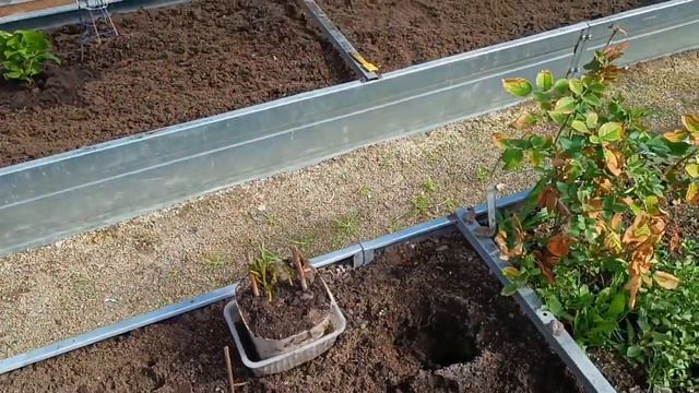 2-Дача Открытие сезона 2023..2часть 23.04.23. смотреть онлайн