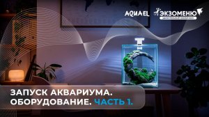 Что нужно купить для аквариума? Оборудование.