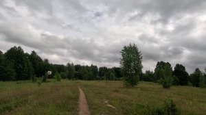 гуляю по зеленому лесу серия 20