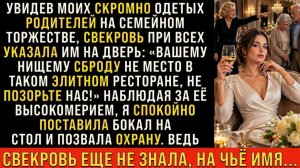 Истории из жизни/Свекровь при всех указала мои родителям на дверь/Аудиорассказы жизненные