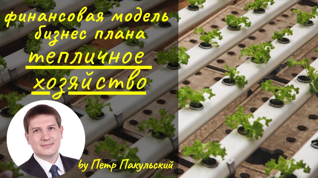 Бизнес-план теплицы. Финансовая модель тепличного хозяйства. Теплица, как бизнес-идея. Как начать? смотреть онлайн