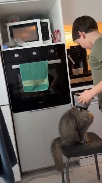 Зовут: Мышка 😸