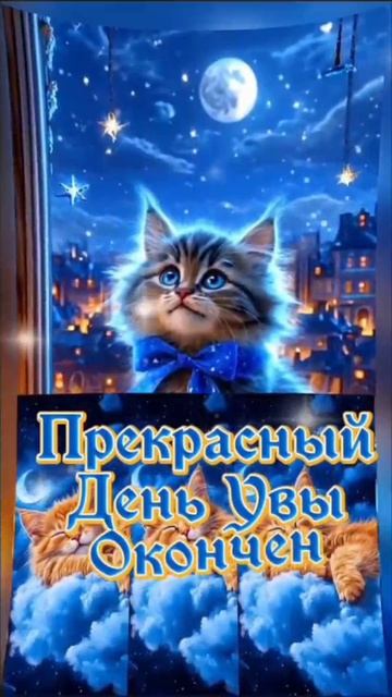 Доброй ночи