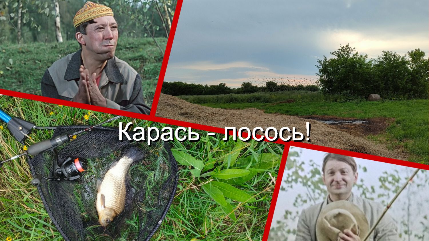 Карась-лосось! смотреть онлайн