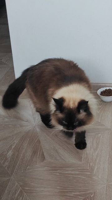 марсик  молочка!?))