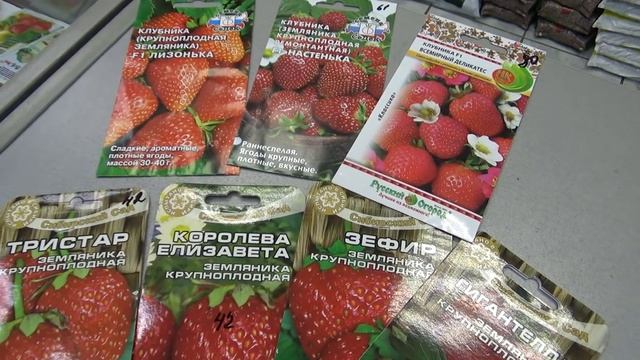 2526. ВПЛ. Посевы в июне-июле.Клубника.