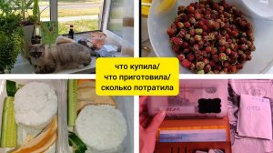 сколько потрачено и что куплено 💰💰💰