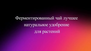 Ферментированный чай лучшее натуральное удобрение для растений