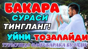 Бақара сураси Уйга ШАЙТОН кирмайди !!! Baqara surasi БАКАРА BAQARAH | БУ СУРАНИ УҚИНГ