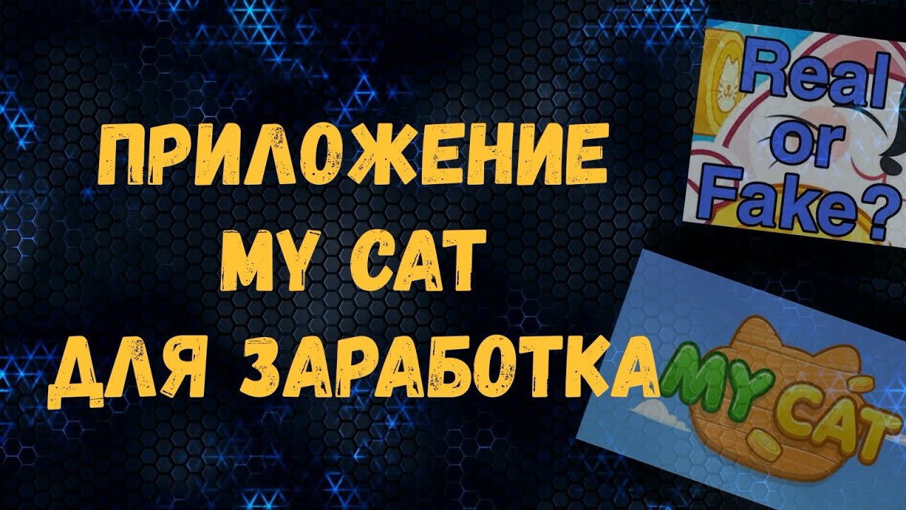 Приложение для заработка My Cat | Проверка платежеспособности | Развод??? смотреть онлайн