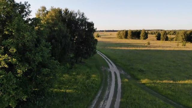 Ильсия Бадретдинова - Шаулый урман (Tatar version) смотреть онлайн