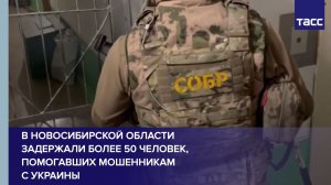 В Новосибирской области задержали более 50 человек, помогавших мошенникам с Украины