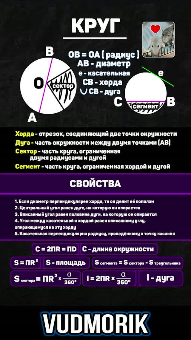Круг. Свойства и формулы #23