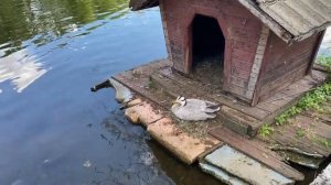 День в монастыре_ тихо, красиво, по простому. Прогулка по “Николо- Угрешскому”#монастыри