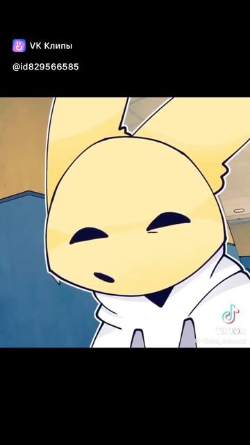 1000003779.mp4