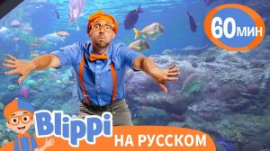 Песня Про Аквариум _ Обучающие песни для детей _ Blippi Russian
