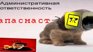 ламондер и зоинк фан могут быть в опасности ⚠️