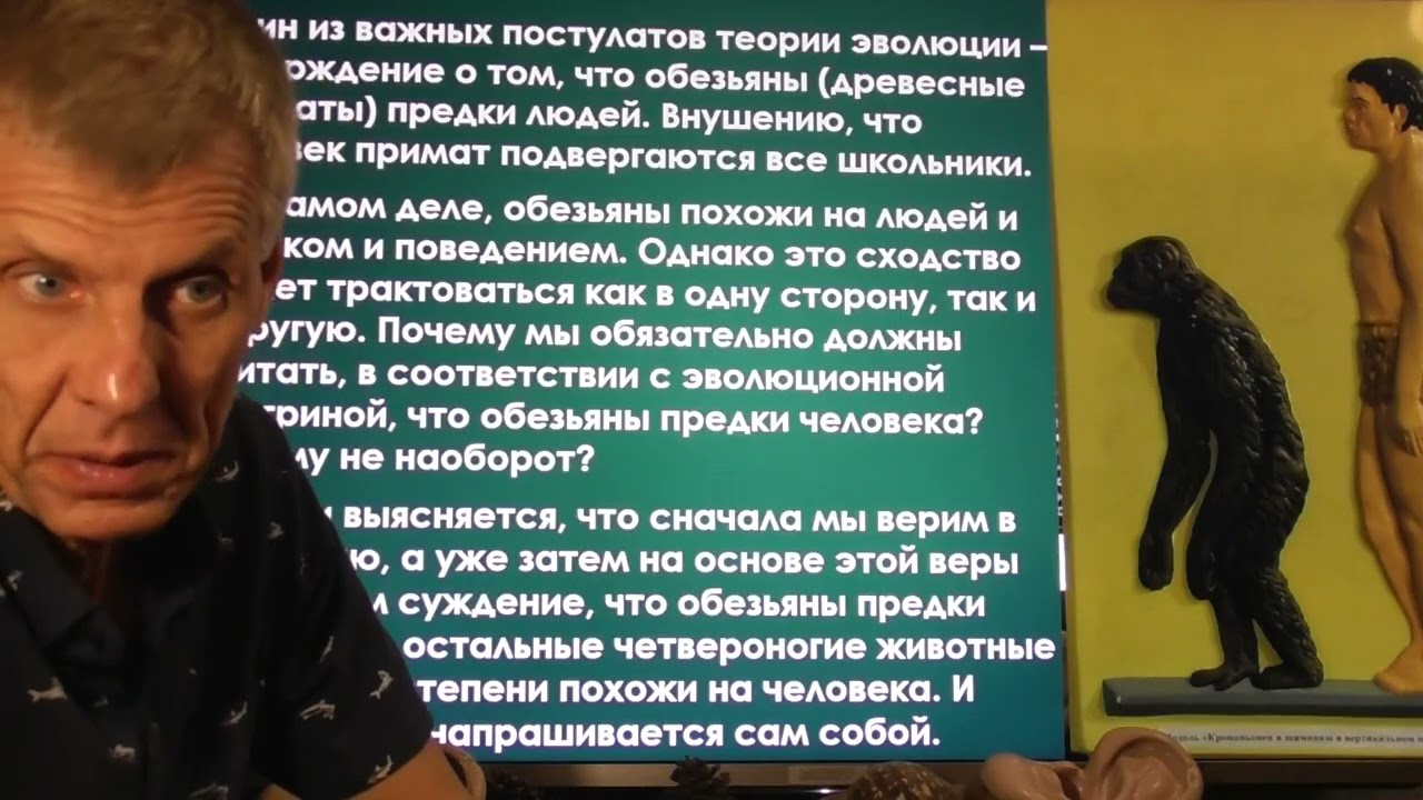 Почему обезьяны похожи на людей. Теория инволюции. Александр Белов 06.10.2024 г. смотреть онлайн