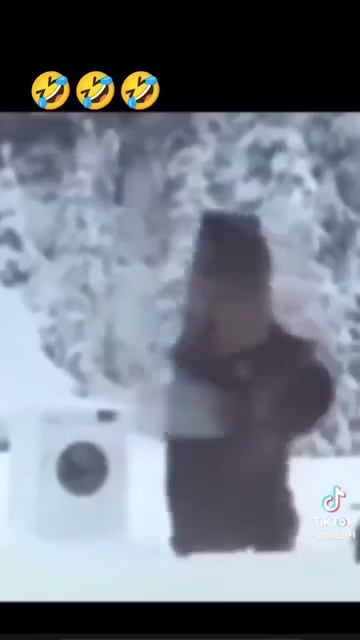 Медведи зимой снимают шерсть 😂🤣🤣 смотреть онлайн