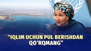 🍿 BMT hisob berdi: davlatlar 2030-yilgacha qo‘yilgan maqsadlarga erisholmayapti