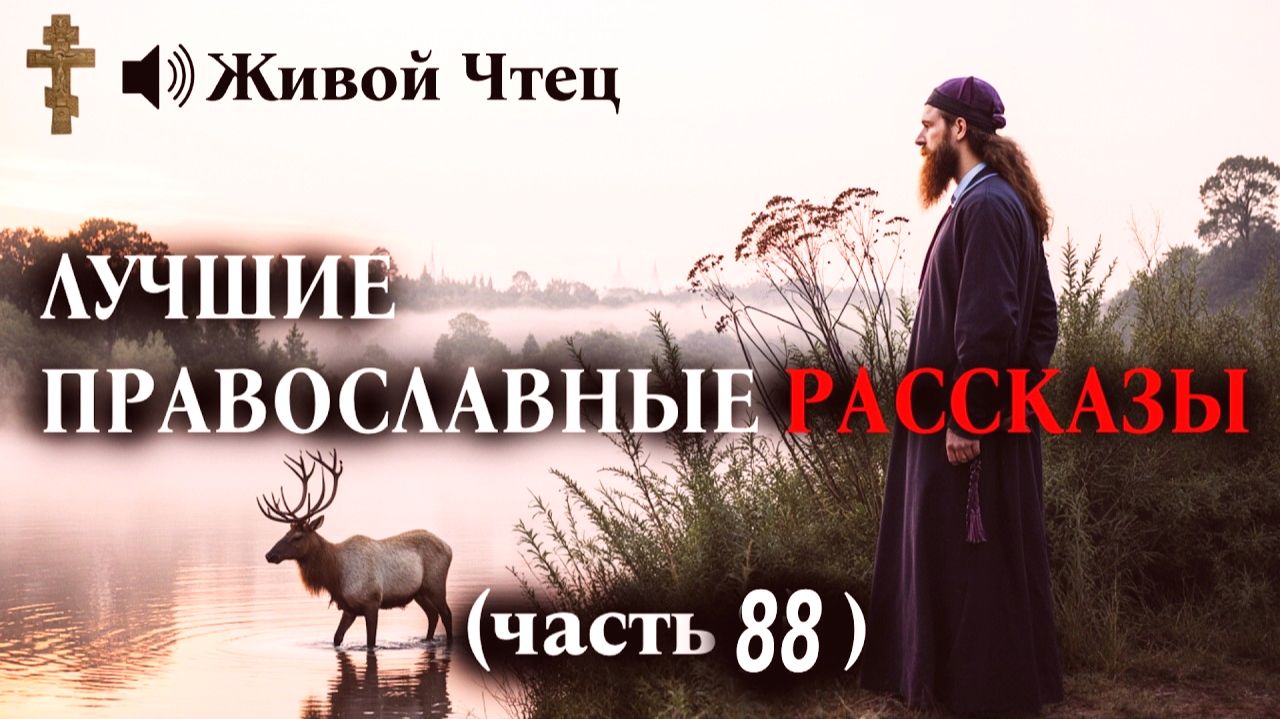 «БУДЕШЬ МЫТЬ ПОЛЫ НА ВОКЗАЛЕ!» Начальница выгнала её за веру.. ЛУЧШИЕ ПРАВОСЛАВНЫЕ РАССКАЗЫ часть 88 смотреть онлайн