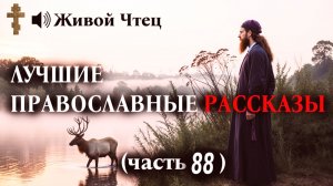 «БУДЕШЬ МЫТЬ ПОЛЫ НА ВОКЗАЛЕ!» Начальница выгнала её за веру.. ЛУЧШИЕ ПРАВОСЛАВНЫЕ РАССКАЗЫ часть 88