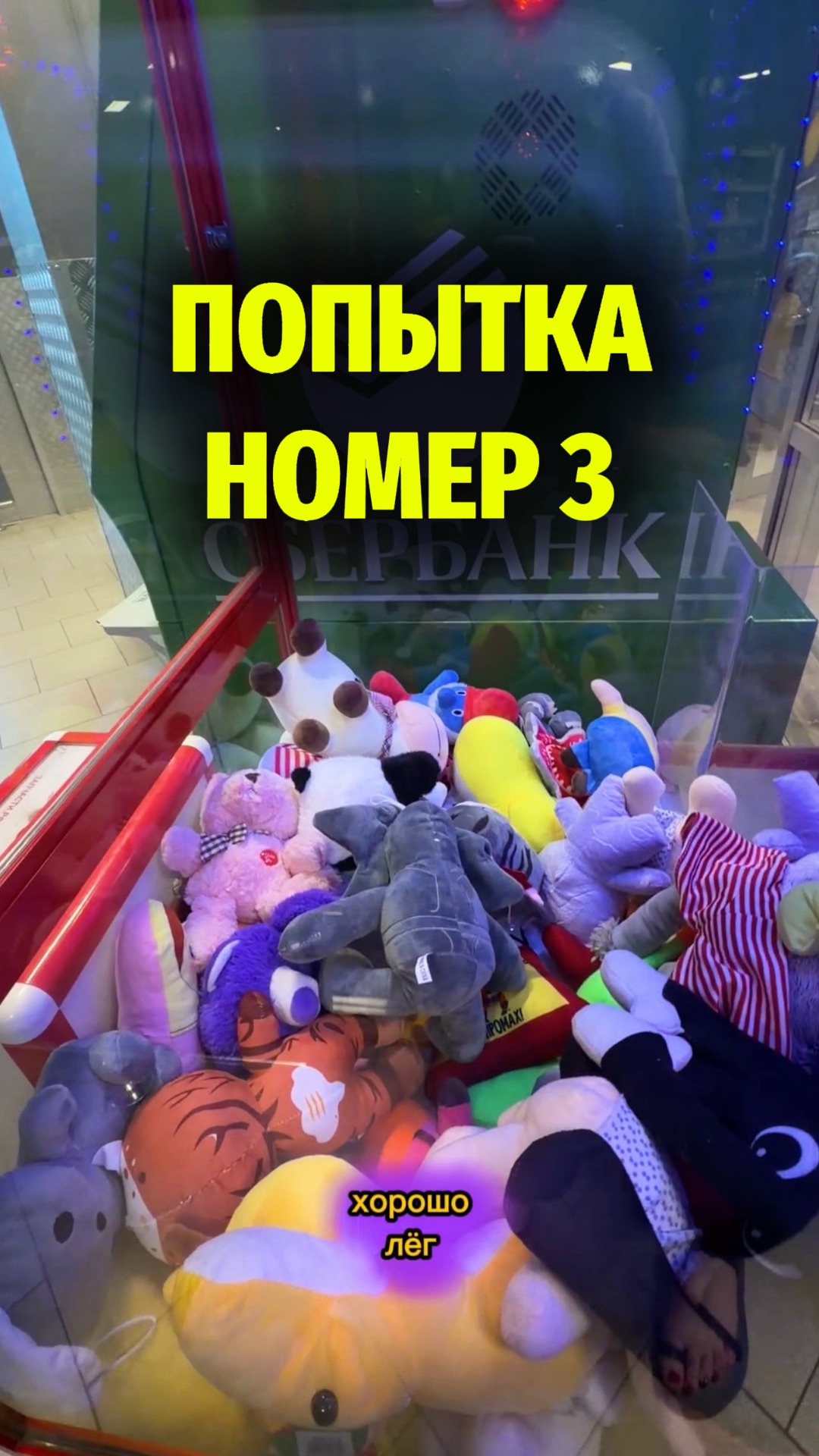 Охота за странной игрушкой